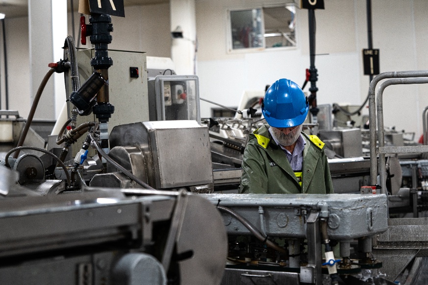 A person wearing a blue helmet and working in a factoryAI-generated content may be incorrect.
