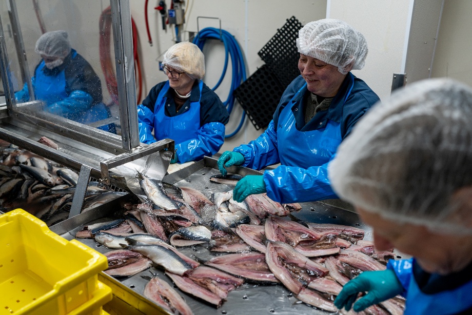 A group of people in a fish factoryAI-generated content may be incorrect.